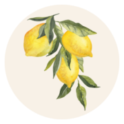 Girl and the Kitchen logo