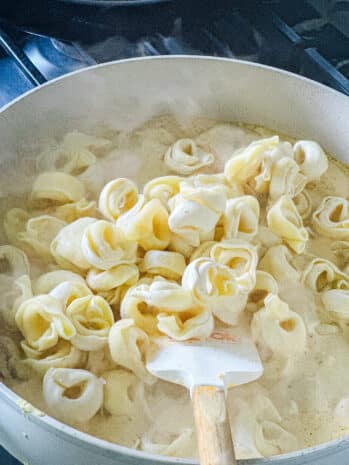 chicken parmesan tortellini