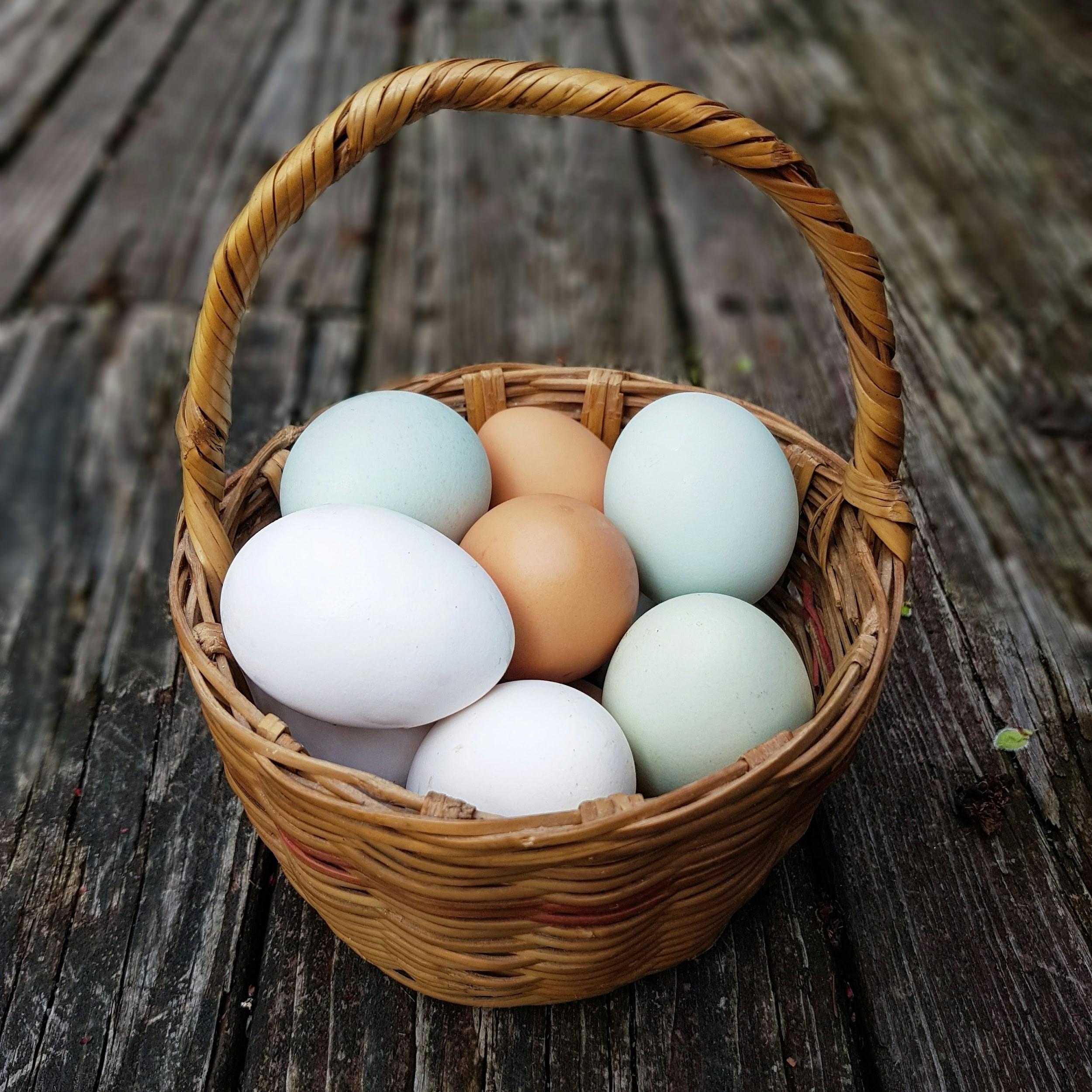 Eggs